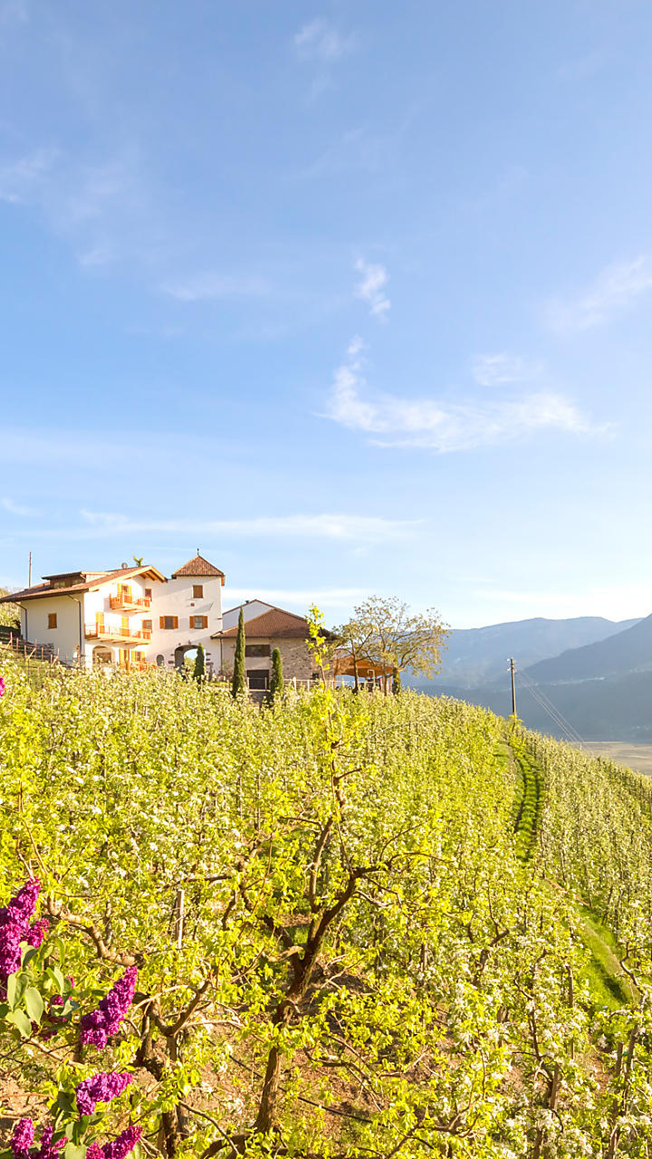 Vacanza di primavera in agriturismo in Alto Adige