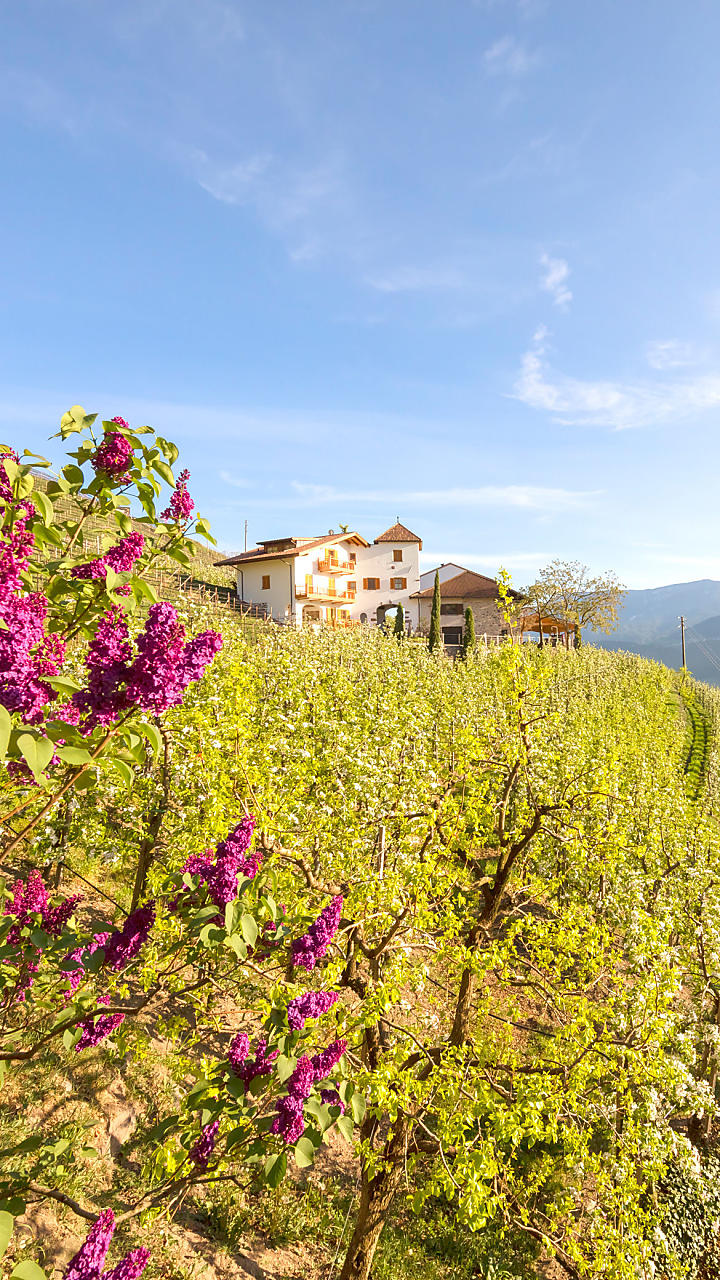 Vacanza di primavera in agriturismo in Alto Adige