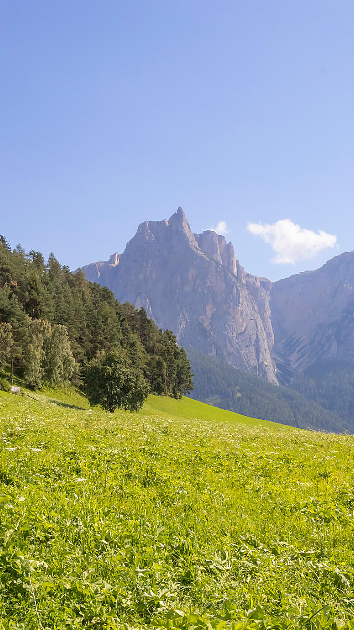 Vacanza estive in agriturismo in Alto Adige