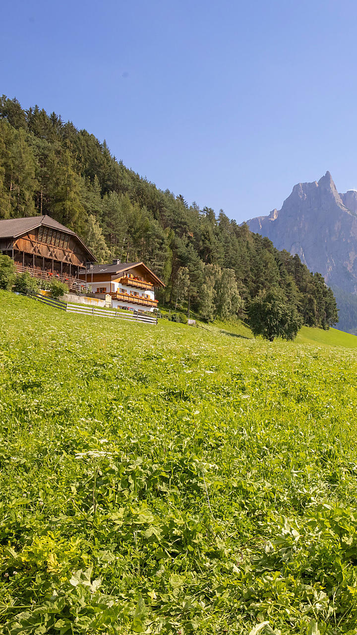 Vacanza estive in agriturismo in Alto Adige