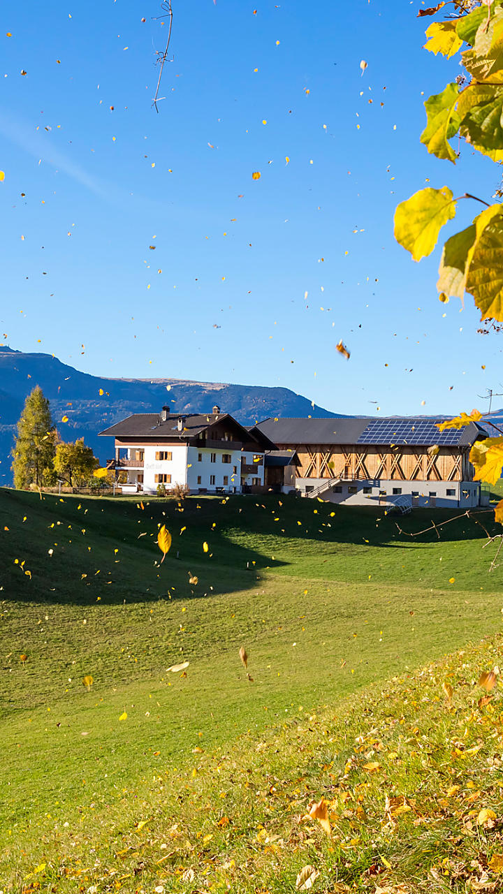 Vacanze autunnali in agriturismo in Alto Adige