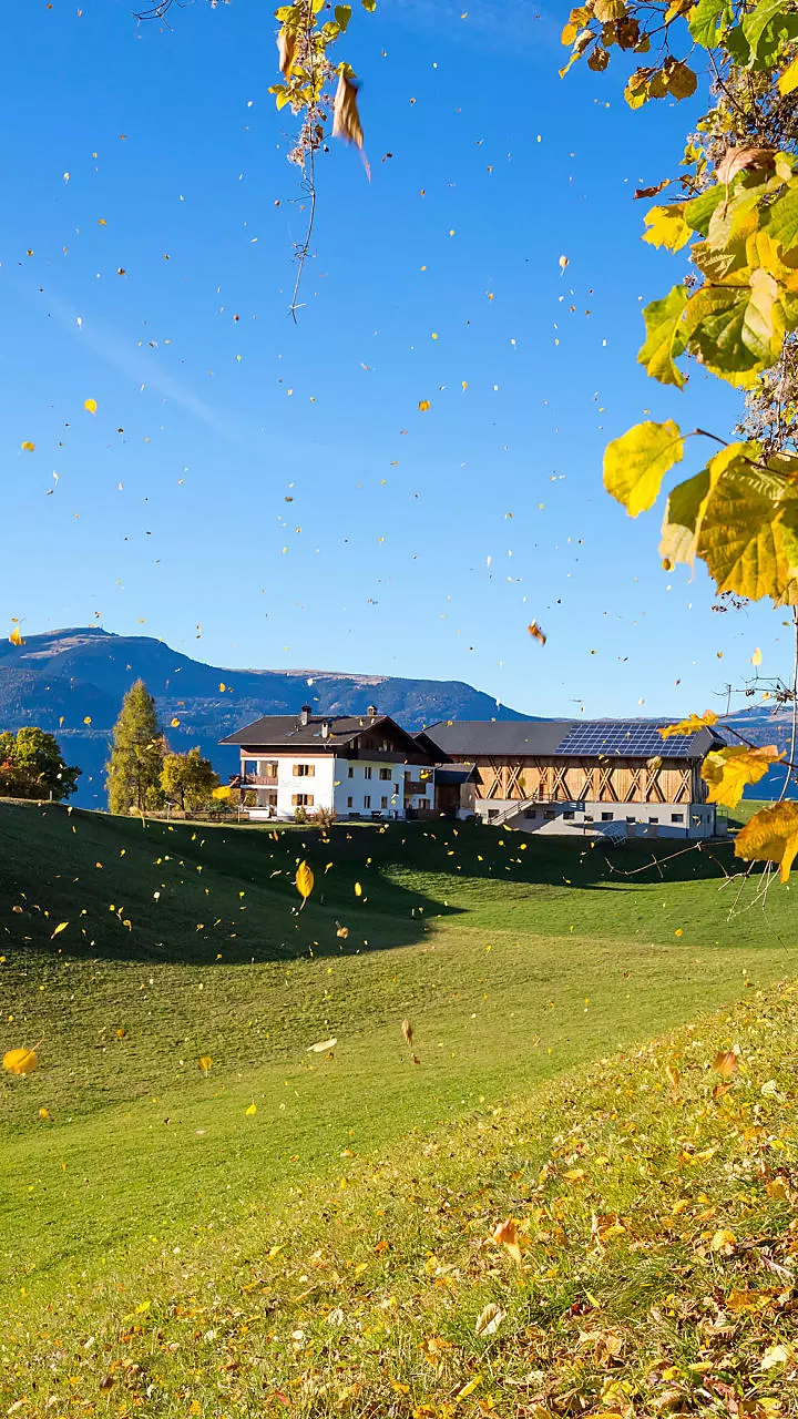 Vacanze autunnali in Alto Adige