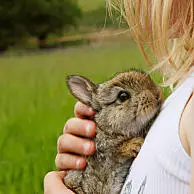 Accarezzare i coniglietti di Pasqua e rilassarsi al sole