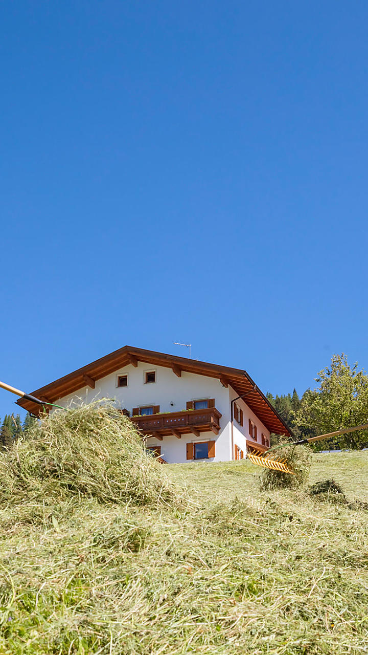 La fienagione nei masi dell’Alto Adige