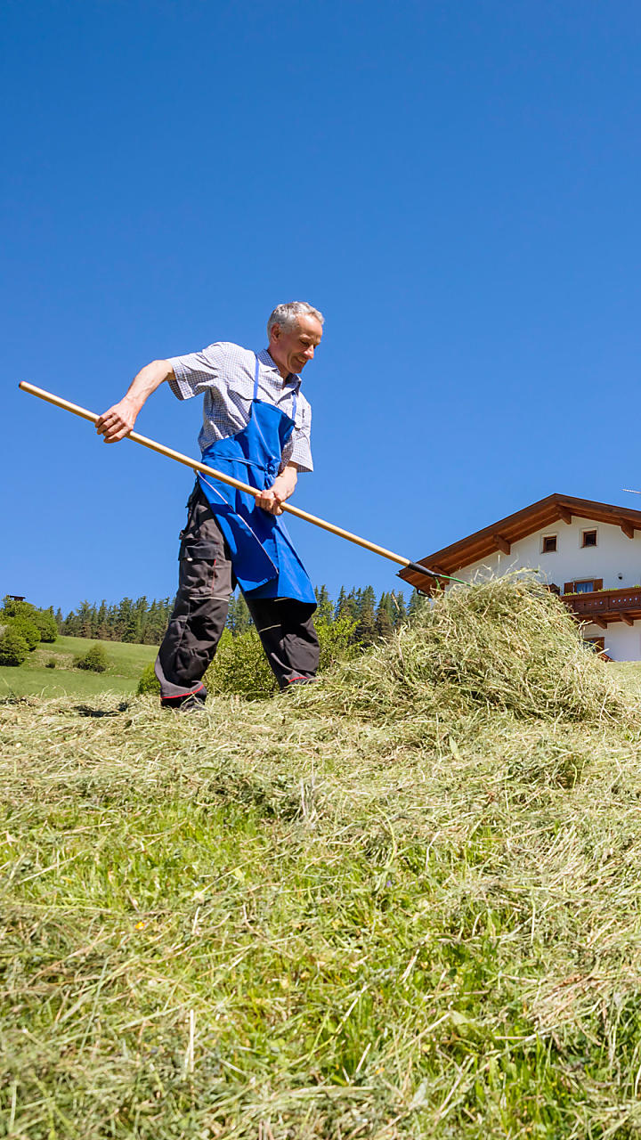 La fienagione nei masi dell’Alto Adige