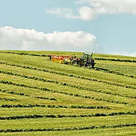 Tre tagli d'erba in giornate di sole caldo