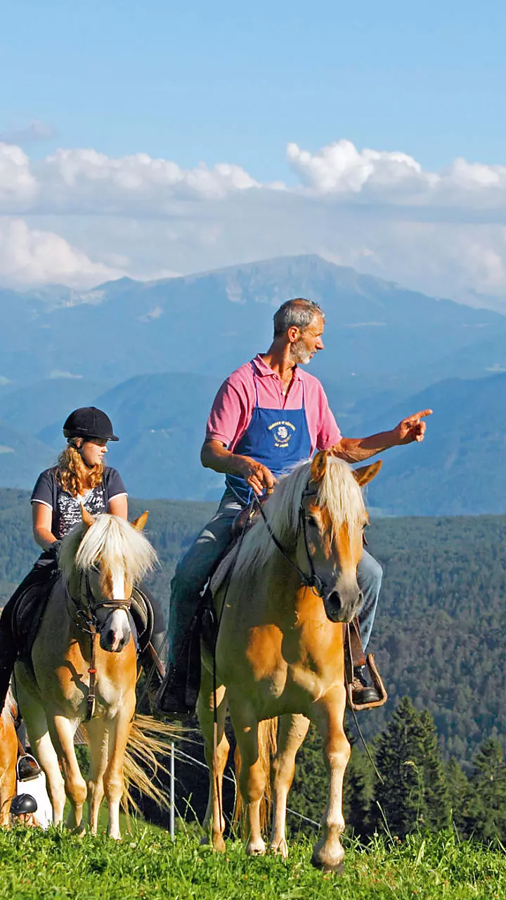 Vacanze in un maso per appassionati di cavalli in Alto Adige