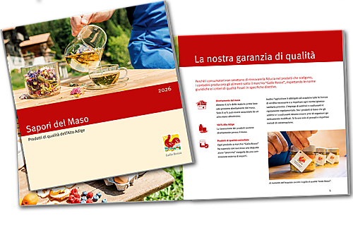 Sapori del maso