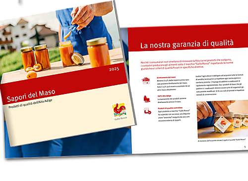 Sapori del maso