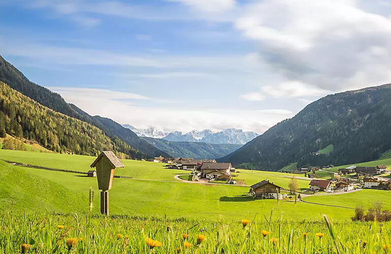 Valli laterali dell'Alto Adige: vacanze con vista Valli laterali dell'Alto Adige: vacanze con vista