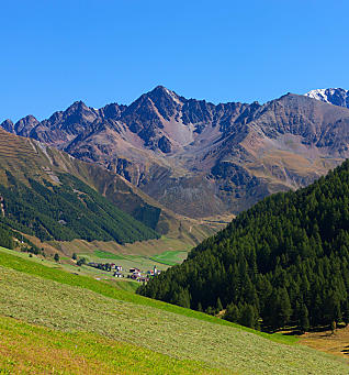 Vacanze in maso a Vallelunga