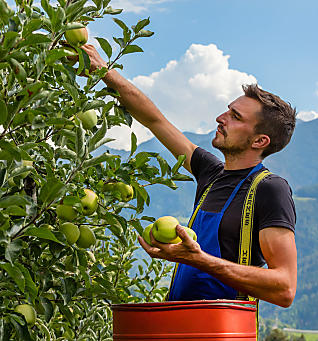 Vivi la quotidianità dei masi in Alto Adige