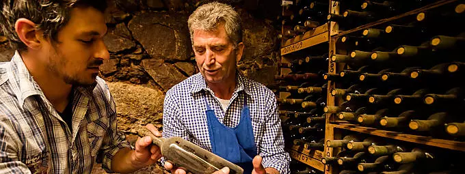 La cantina dei vini