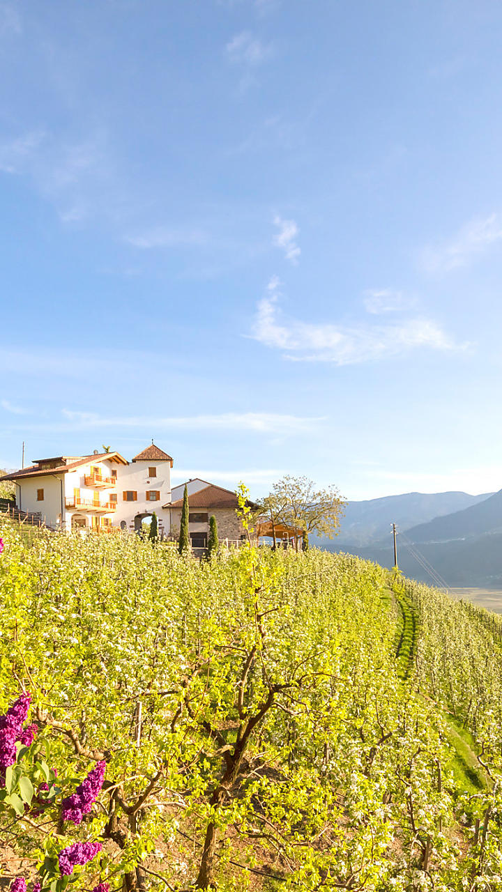 Per chi ama starsene al sole