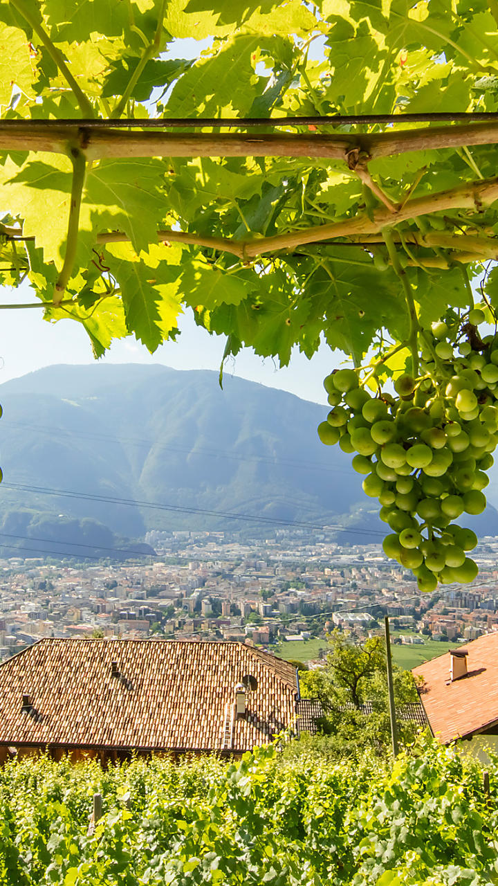 Per chi ama il buon vino