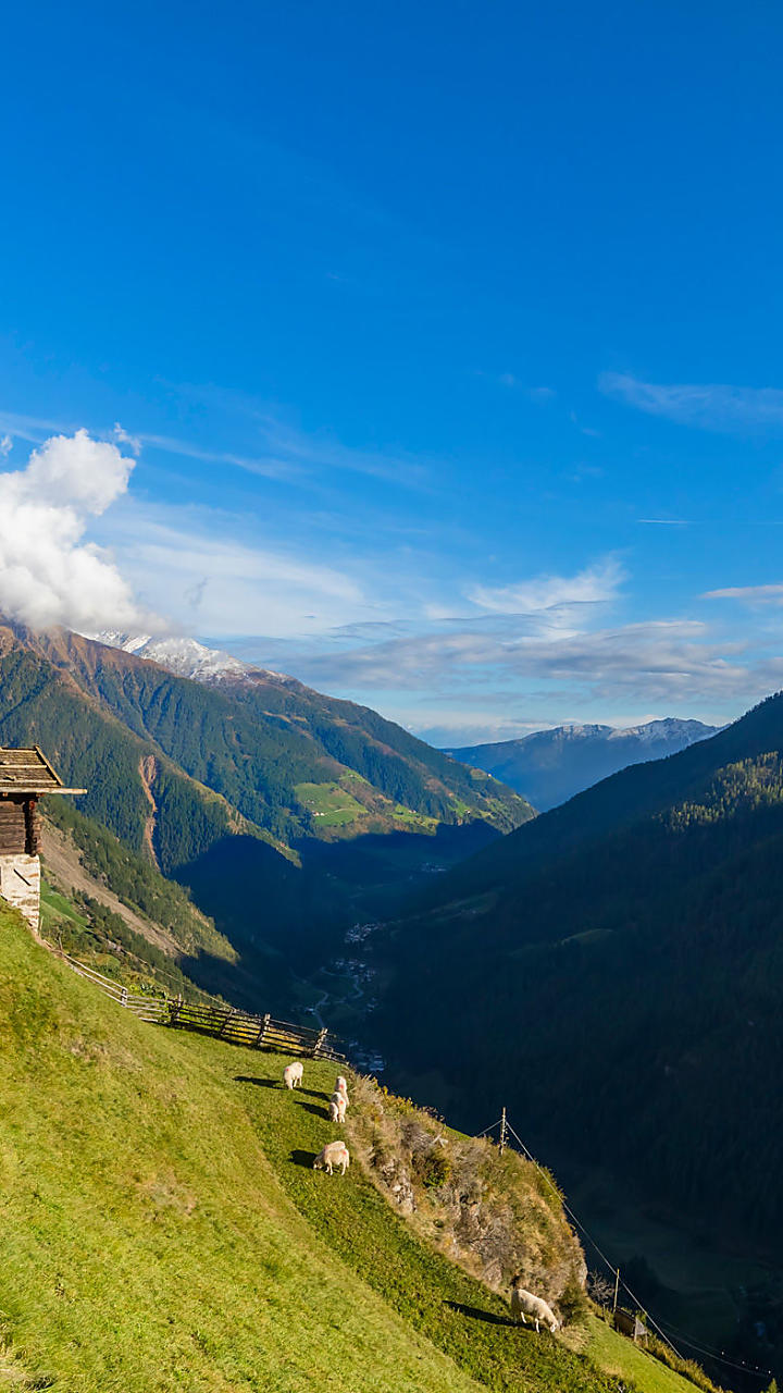 Per chi ama i masi di montagna