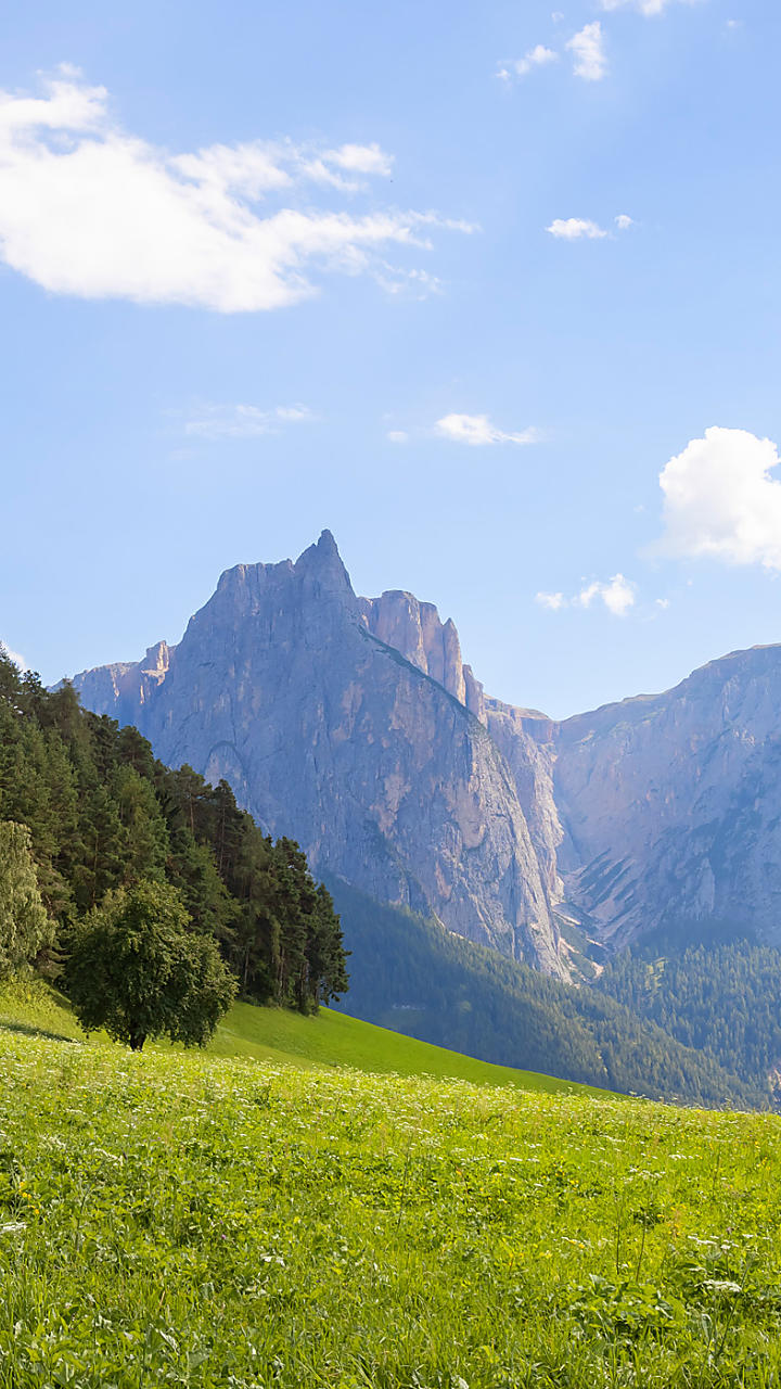 Agriturismo in Alto Adige – masi con appartamenti