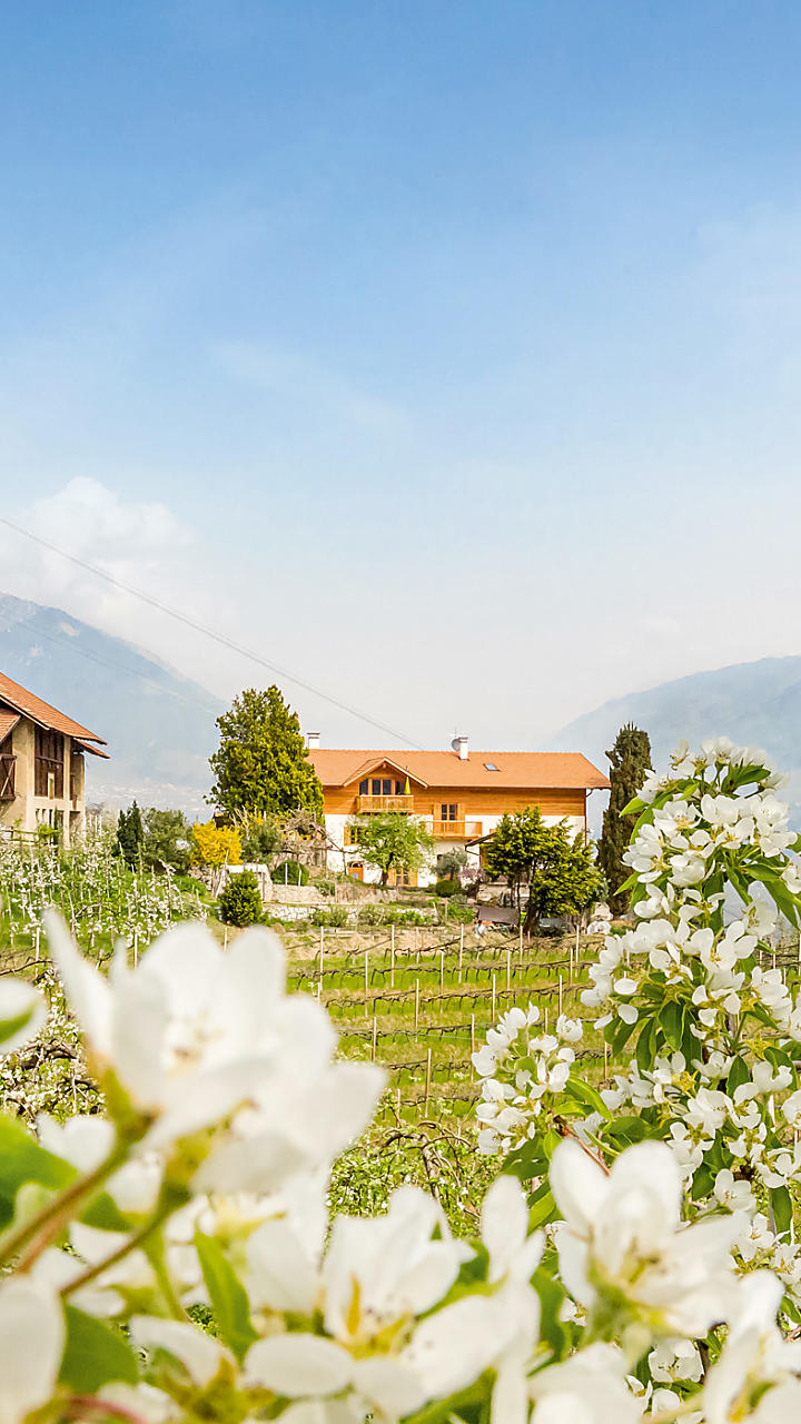 Agriturismo in Alto Adige – masi con appartamenti