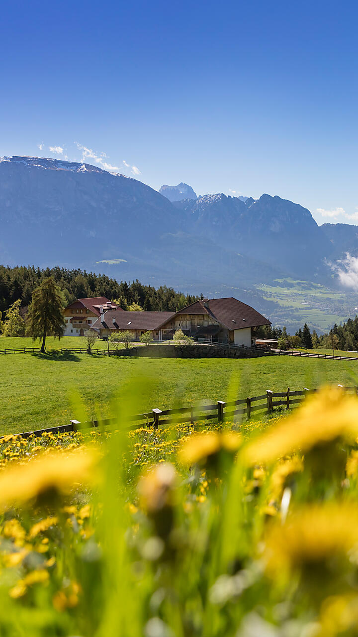 Agriturismo in Alto Adige – masi con appartamenti