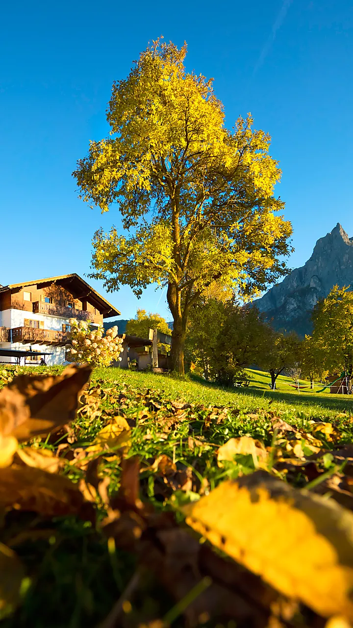 Vacanze in agriturismo in Alto Adige: Il Gallo Rosso presenta oltre 1600 masi –
L’offerta di camere e appartamenti per le tue vacanze in Alto Adige.