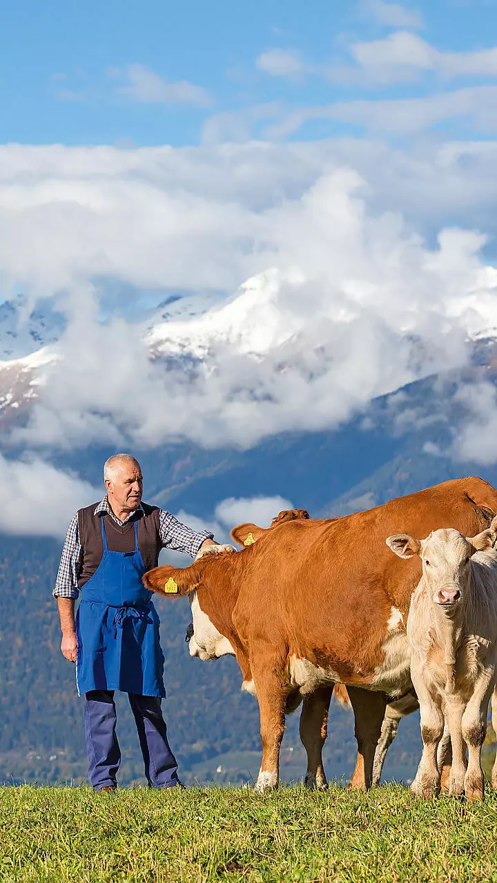 Osterie contadine