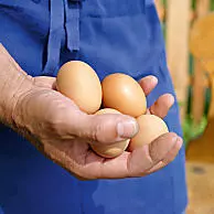 Uova da galline libere dell’Alto Adige