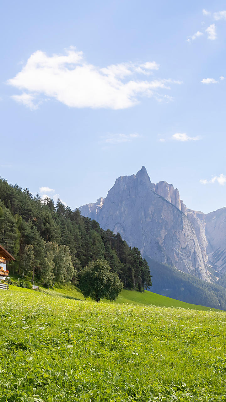 Agriturismo in Alto Adige – masi con appartamenti