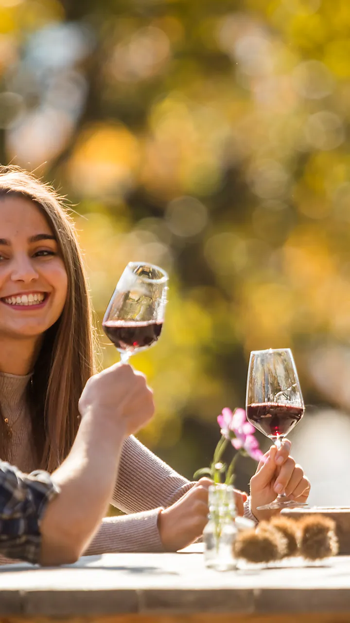 Vacanze in agriturismo in Alto Adige: Il Gallo Rosso presenta oltre 1600 masi – L’offerta di camere e appartamenti per le tue vacanze in Alto Adige.
