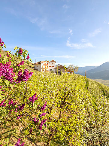 Vacanza di primavera in agriturismo in Alto Adige