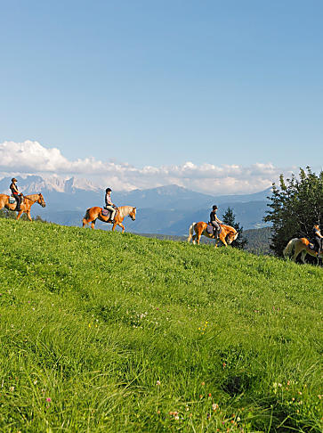 Vacanze a cavallo in Alto Adige: al maso, in sella