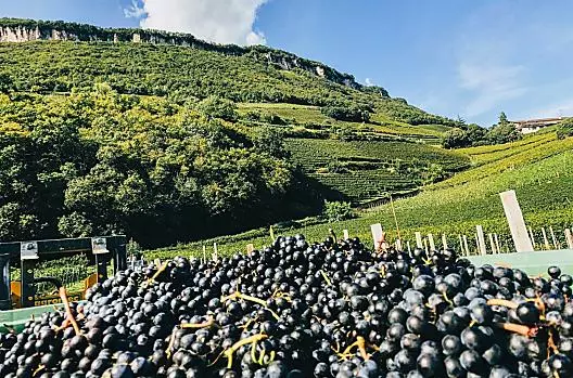 Kraidlhof - Liste Photo