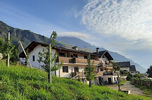 La nostra azienda frutticola e vinicola con vista sui nostri appartamenti vacanze