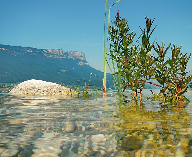 Piscina naturale