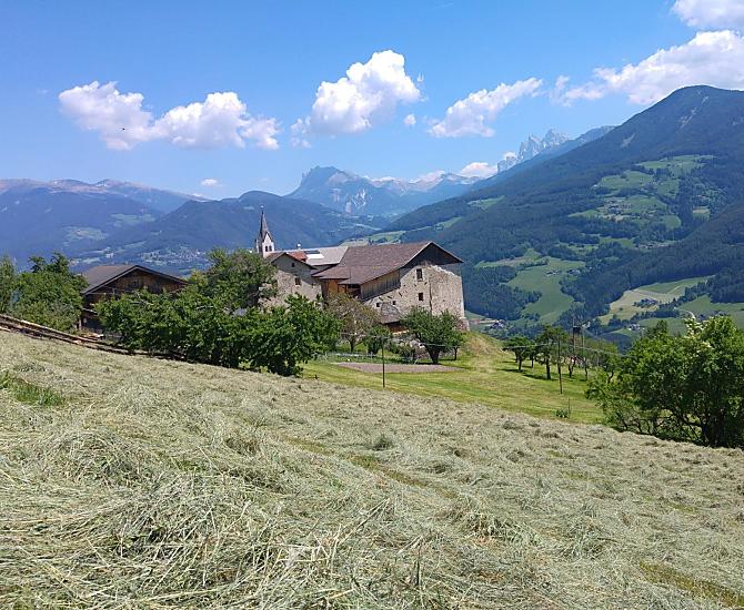 Durante la raccolta del fieno