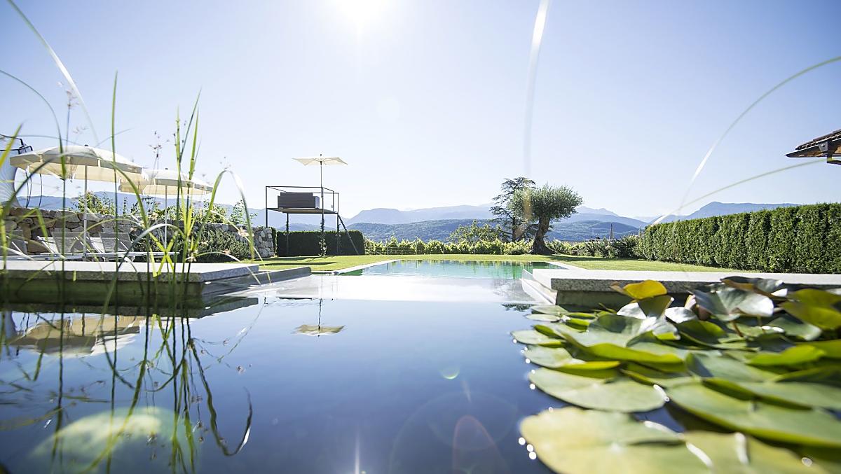 Piscina naturale con ninfee