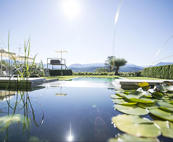 Piscina naturale con ninfee