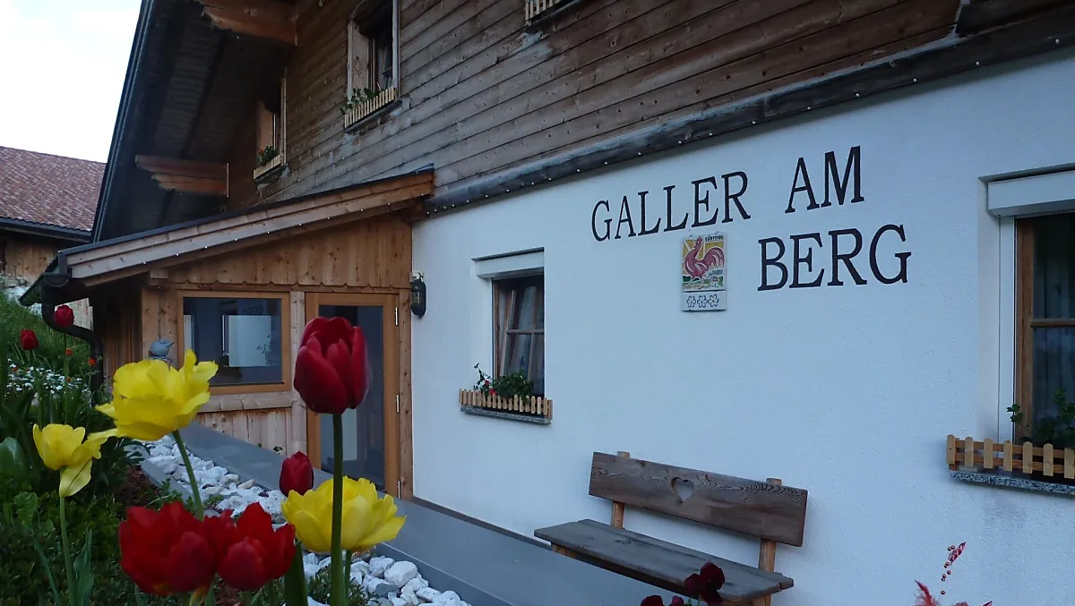 Galler am Berg - Bildergalerie Photo