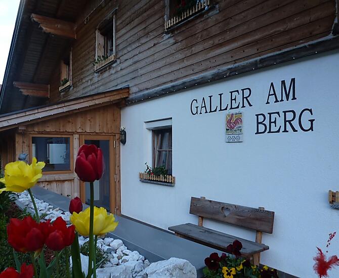 Galler am Berg - Bildergalerie Photo