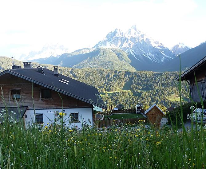Galler am Berg - Bildergalerie Photo