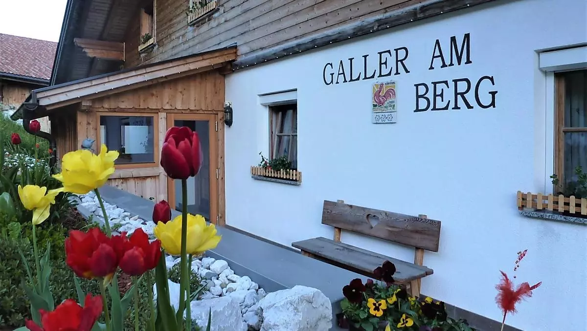 Galler am Berg - Bildergalerie Photo