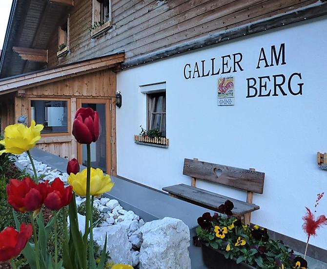 Galler am Berg - Bildergalerie Photo