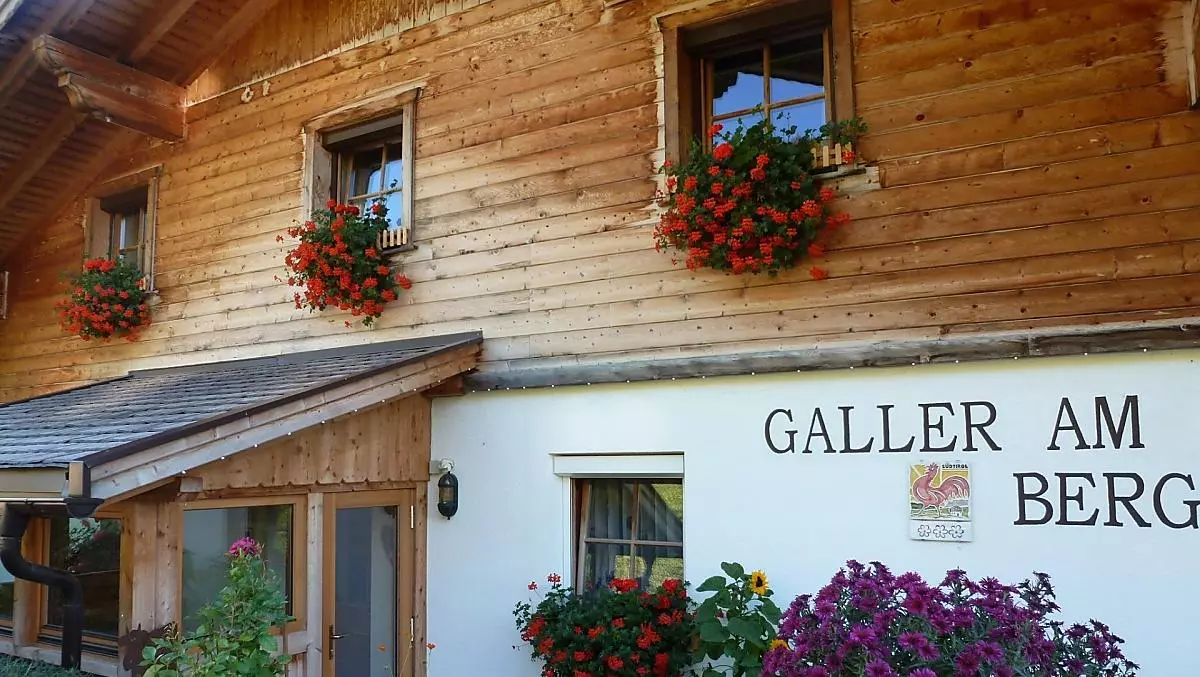 Galler am Berg - Bildergalerie Photo