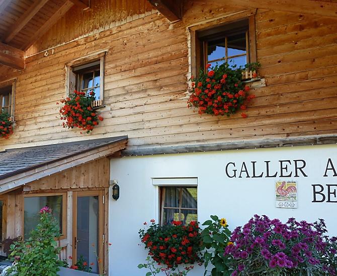 Galler am Berg - Bildergalerie Photo