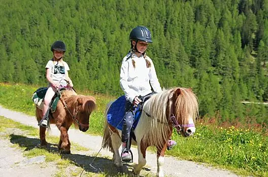 L'equitazione con i pony e gli avelignesi piace a tutti i bambini