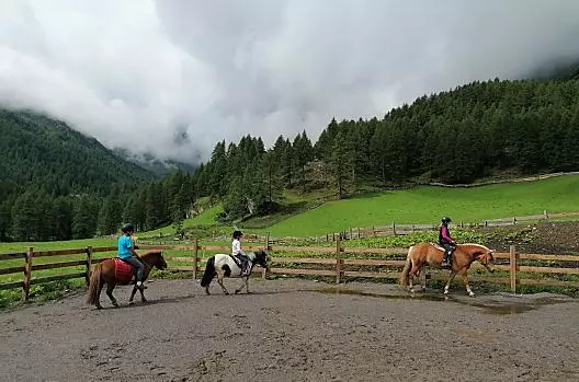 Cavalcare nel rettangolo