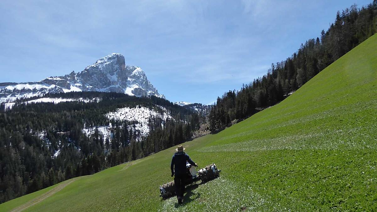 Il primo lavoro sul campo in primavera