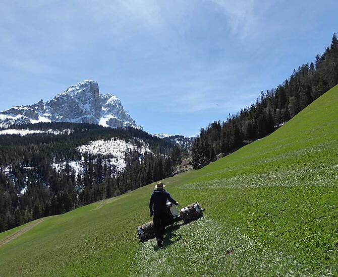 Il primo lavoro sul campo in primavera