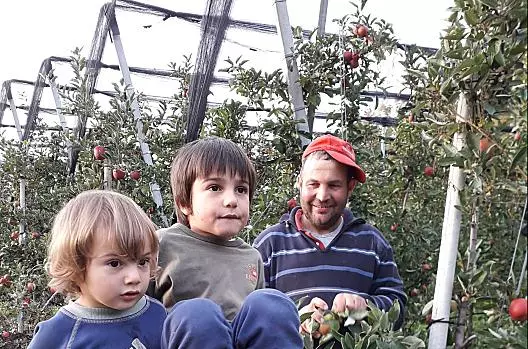 Anton, Felix e Moritz durante la raccolta delle mele. Tutti aiutano e si aspettano un buon raccolto.