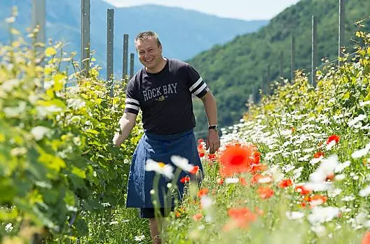 Il vostro ospite Dieter Sölva nel vigneto