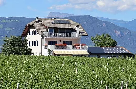 Circondato da vigneti